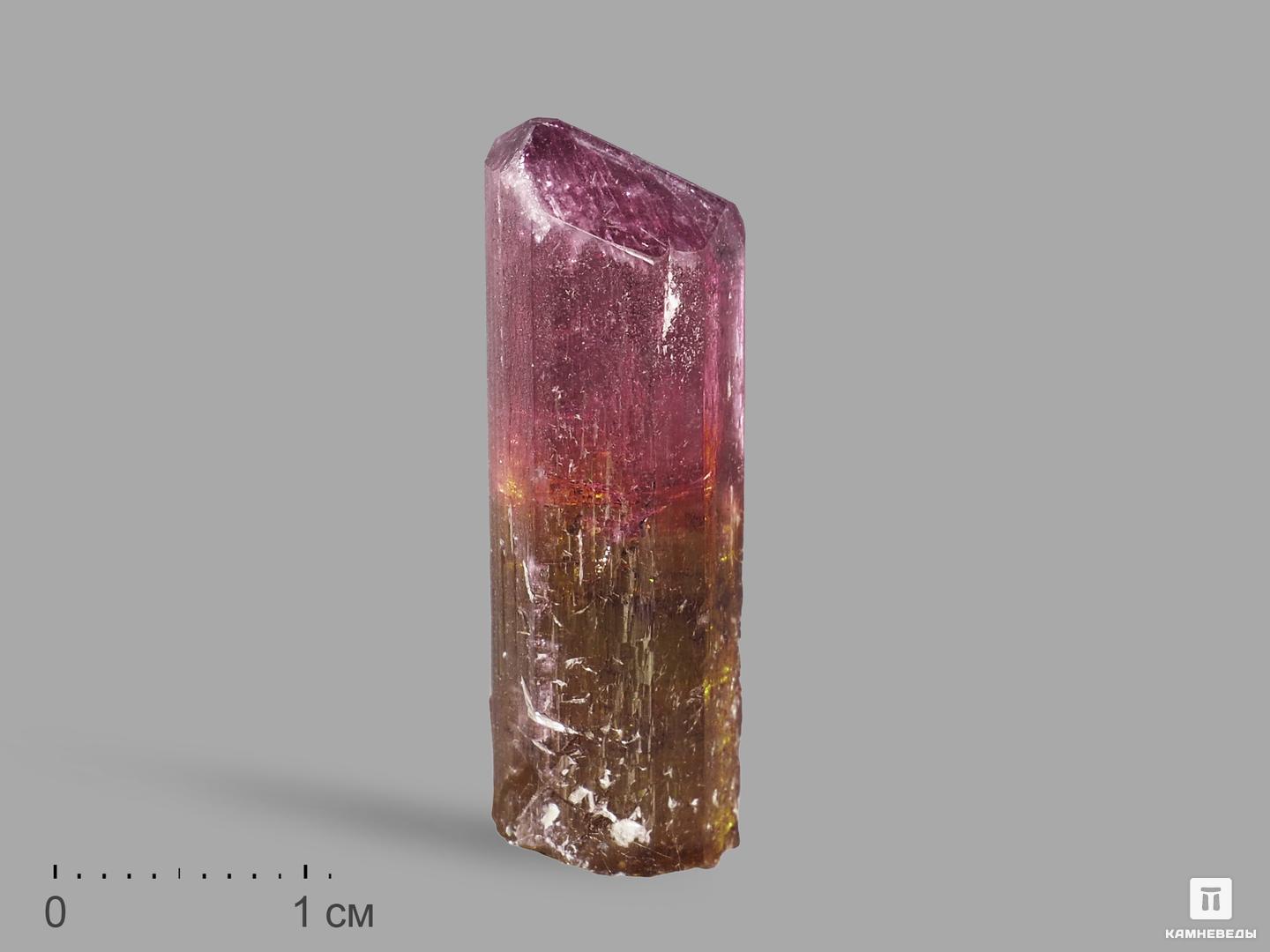 Турмалин, кристалл 3,5х1,2х1,1 см