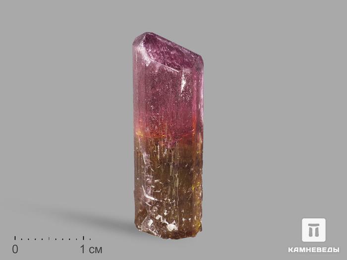 Турмалин, кристалл 3,5х1,2х1,1 см, 10-76/19, фото 1