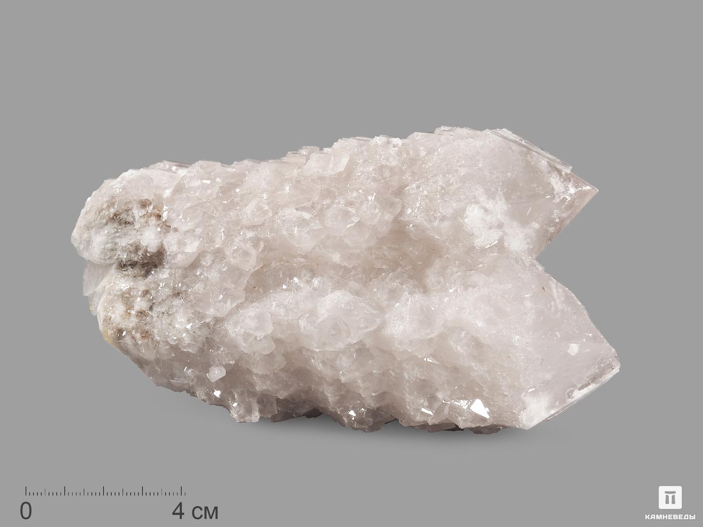 Кварц кактусовидный, сросток кристаллов 16,5х8,5х7,5 см кварц сросток двухголовых кристаллов 10 8х5 5х4 8 см