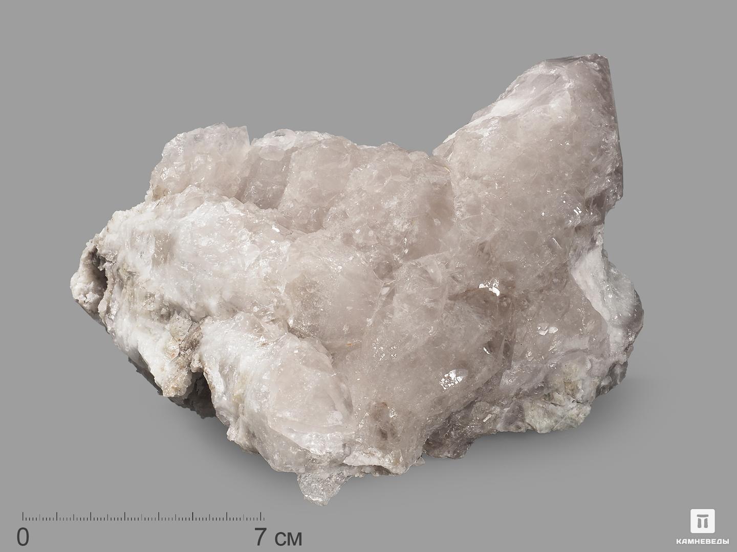 Кварц кактусовидный, сросток кристаллов 16,5х10,5х9,5 см тайна ледяных кристаллов от арктики до антарктики