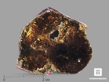 Турмалин. Турмалин полихромный, полированный срез 3,9х3,5х0,3 см