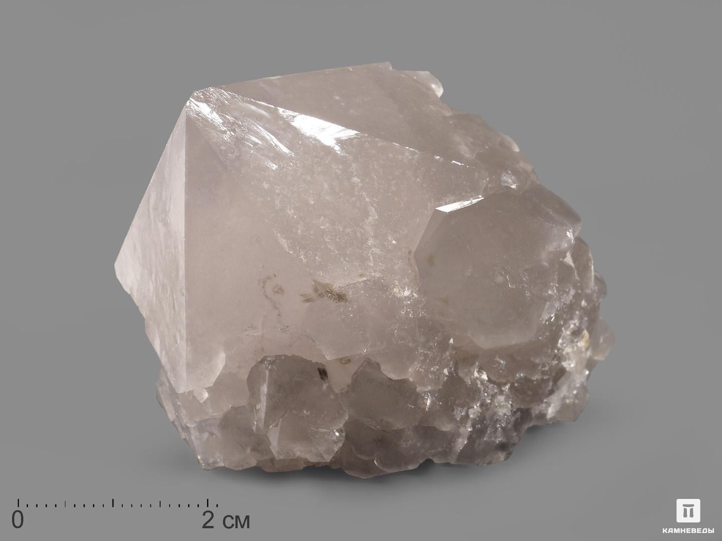 Кварц кактусовидный, кристалл 6,3х5х4,8 см клеёнка кристалл 137см рисунок алмаз рулон 20 п м