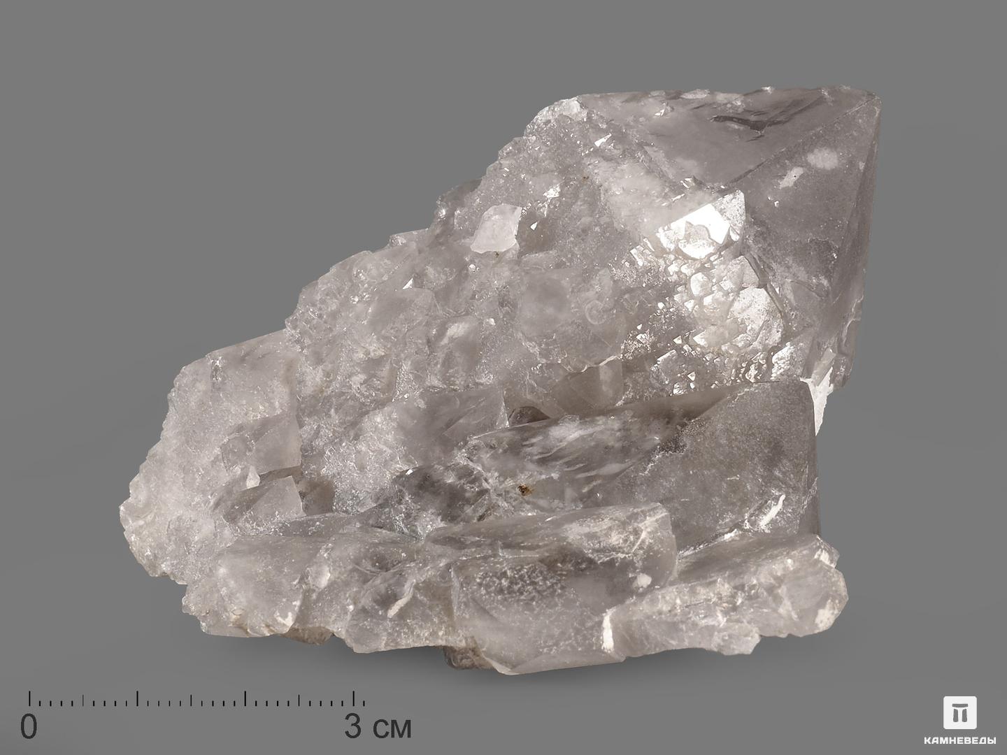 Кварц кактусовидный, сросток кристаллов 8,5х6,8х5 см тайна ледяных кристаллов от арктики до антарктики