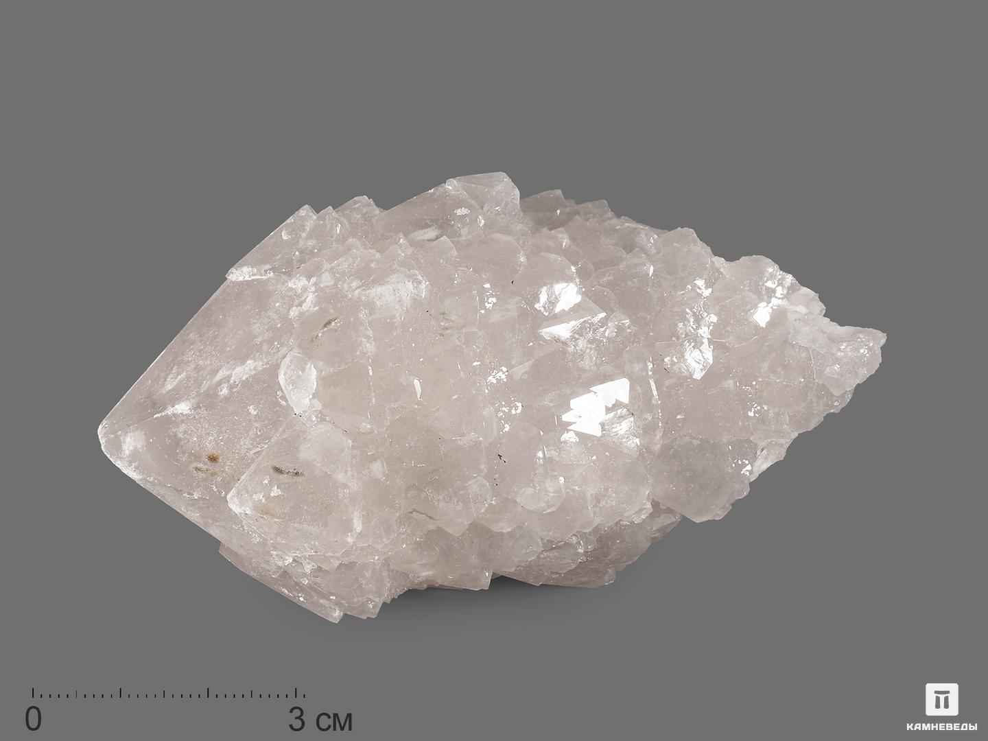 Кварц кактусовидный, кристалл 9,3х5х4,8 см