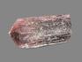Турмалин полихромный, кристалл 5,1х2,3х2,1 см, 19943, фото 2