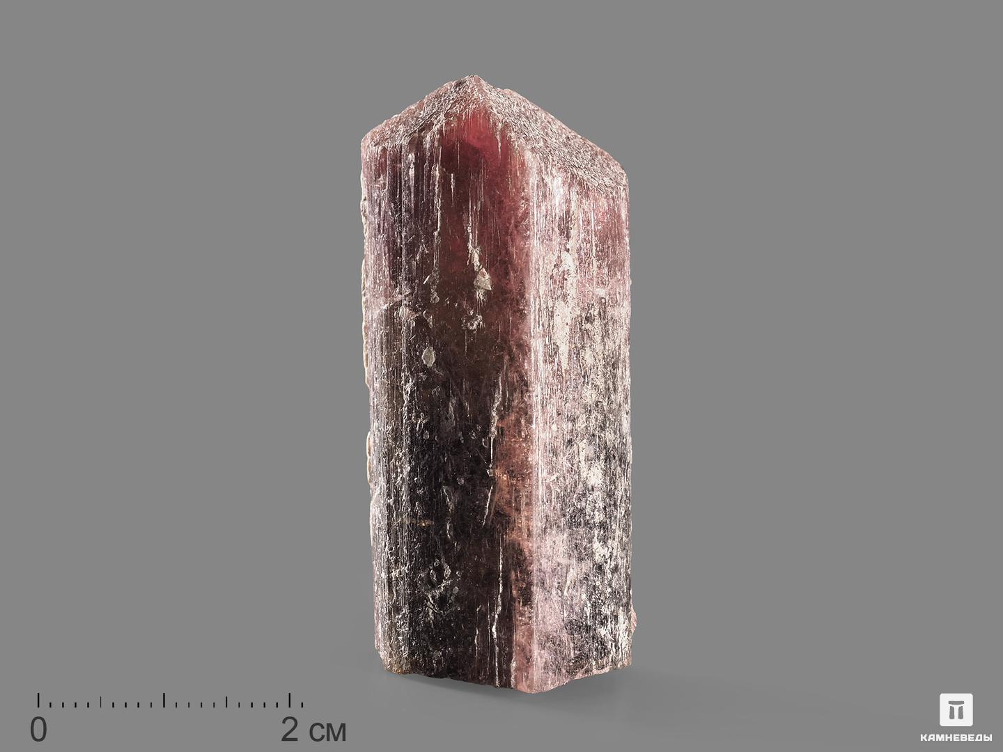 Турмалин полихромный, кристалл 5,1х2,3х2,1 см шерл чёрный турмалин кристалл 25х8 5х7 5 см