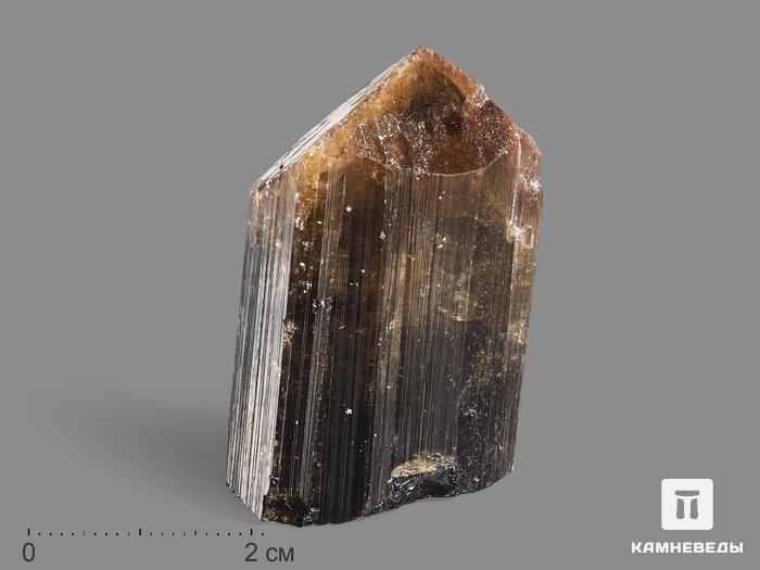 Турмалин полихромный, кристалл 4,4х2,8х2,6 см, 19962, фото 1