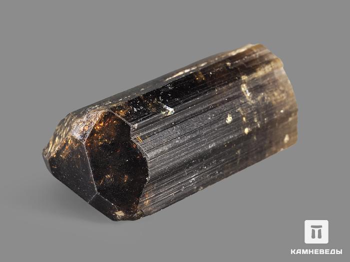 Турмалин полихромный, кристалл 3,9х2,3х1,8 см, 19951, фото 2