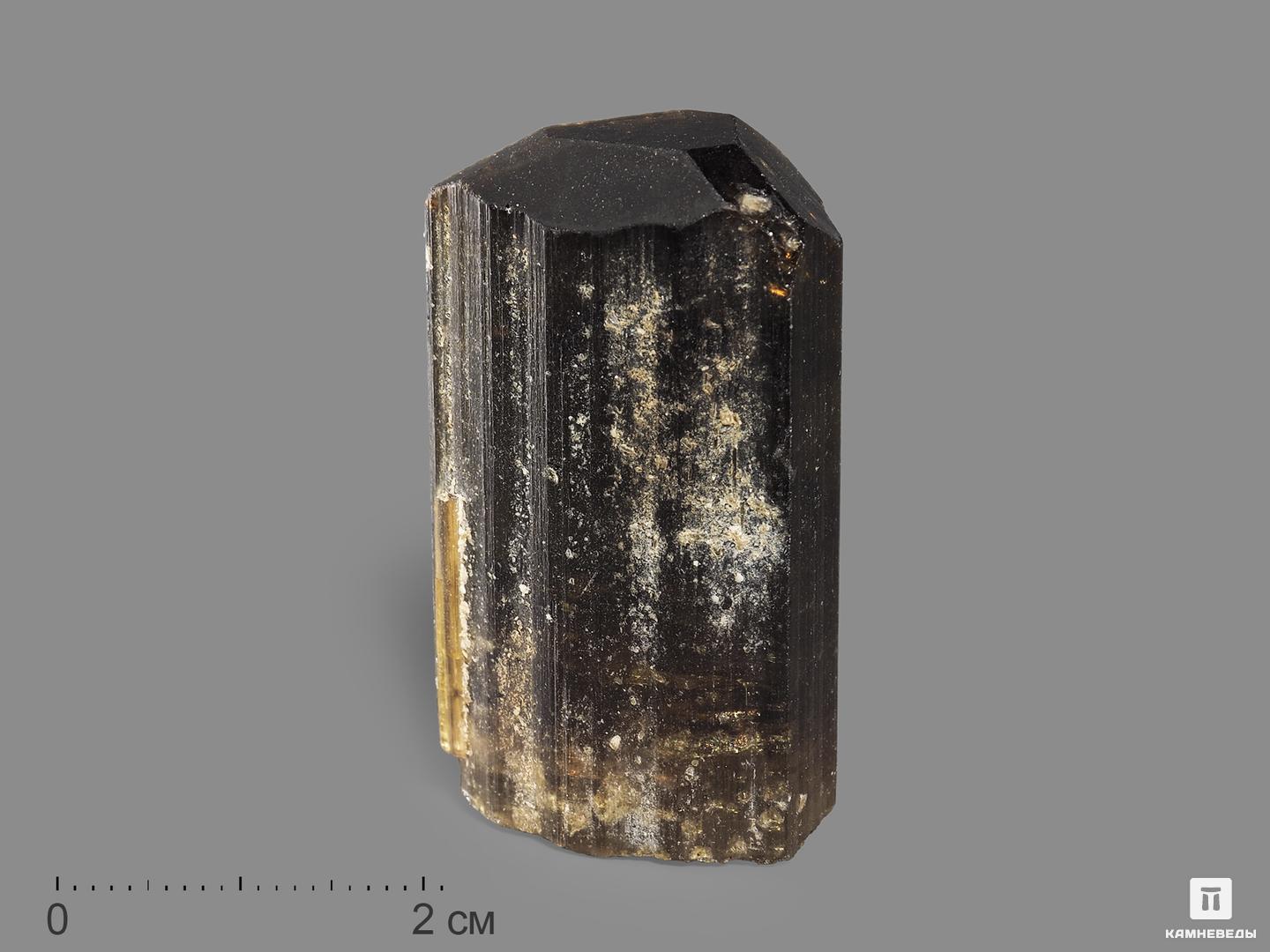 Турмалин полихромный, кристалл 3,9х2,3х1,8 см дравит турмалин двухголовый кристалл 3 5х2 6х2 1 см