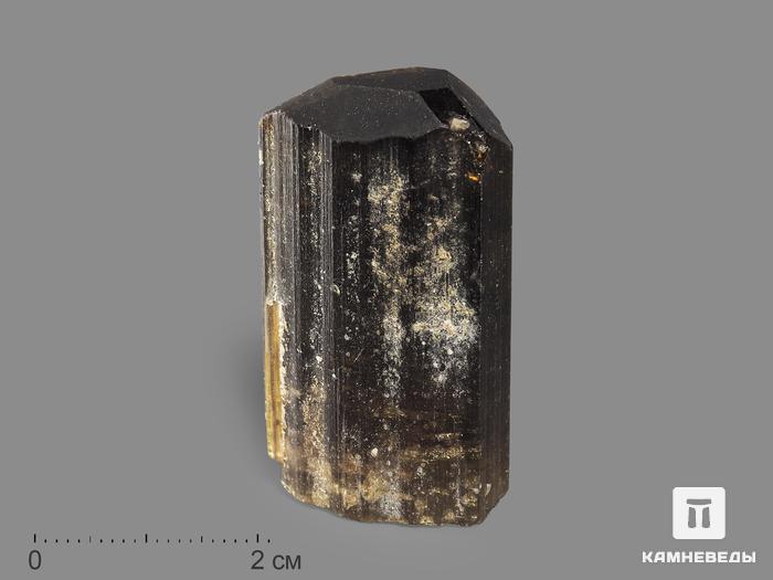 Турмалин полихромный, кристалл 3,9х2,3х1,8 см, 19951, фото 1