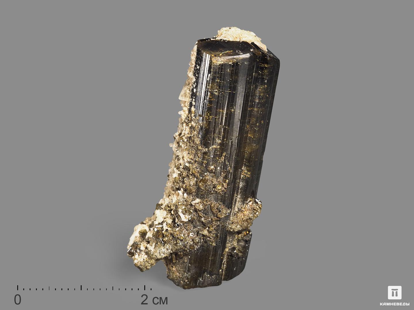 Турмалин, кристалл 4,2х1,5х1,3 см шерл чёрный турмалин кристалл 25х8 5х7 5 см