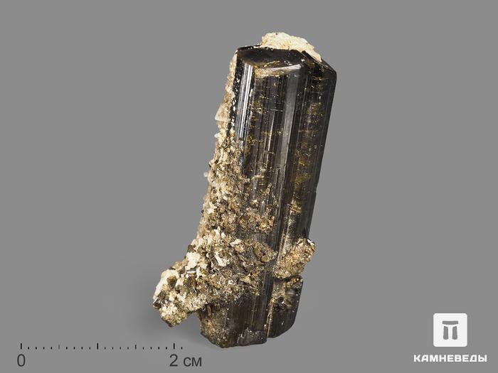 Турмалин, кристалл 4,2х1,5х1,3 см, 19972, фото 1