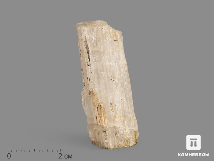 Турмалин, кристалл 5,1х1,9х1,8 см, 19984, фото 1