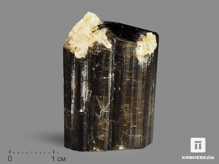 Турмалин, кристалл 3,1х2,3х1,3 см, 19968, фото 1