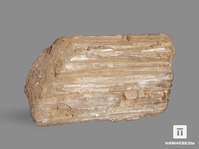 Турмалин, кристалл 4,4х2,8х1,7 см, 19985, фото 2