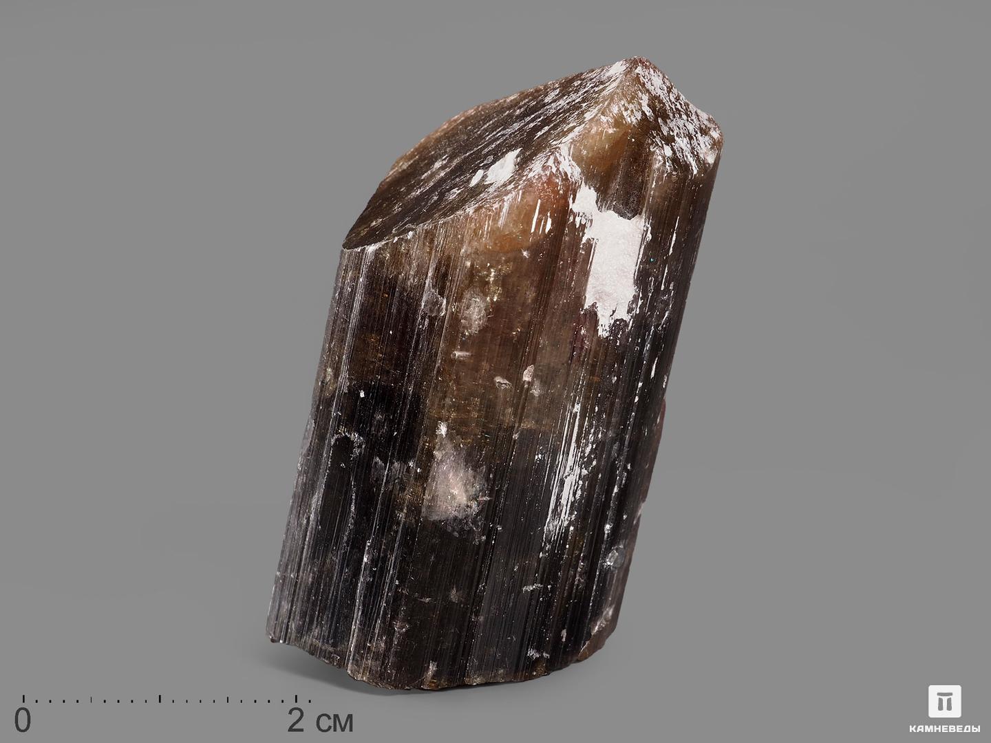 Турмалин полихромный, кристалл 5,2х2,8х2,5 см турмалин кристалл 4 4х2 8х1 7 см