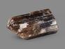 Турмалин полихромный, кристалл 5,2х2,8х2,5 см, 19964, фото 2