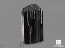 Дравит (турмалин), кристалл 4,4х2,4х2,2 см