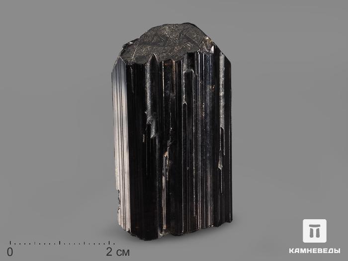 Дравит (турмалин), кристалл 4,4х2,4х2,2 см, 19976, фото 1