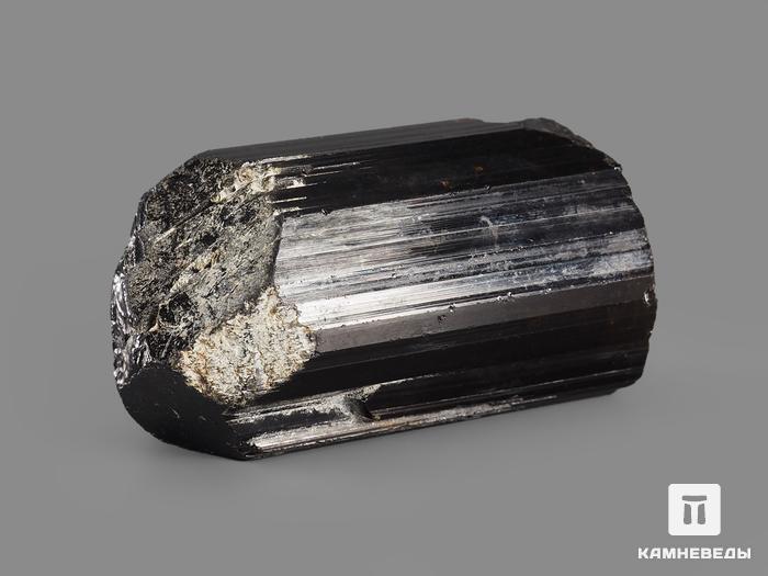 Дравит (турмалин), кристалл 4,4х2,4х2,2 см, 19976, фото 2