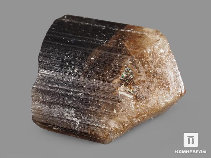 Турмалин, кристалл 2,6х2х1,8 см, 19974, фото 2