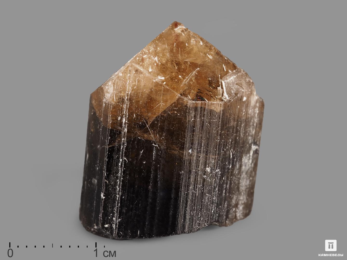 Турмалин, кристалл 2,6х2х1,8 см шерл чёрный турмалин кристалл 25х8 5х7 5 см