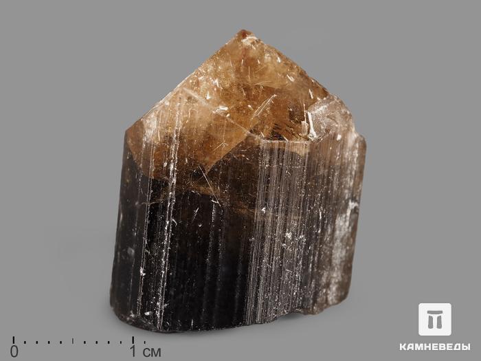 Турмалин, кристалл 2,6х2х1,8 см, 19974, фото 1
