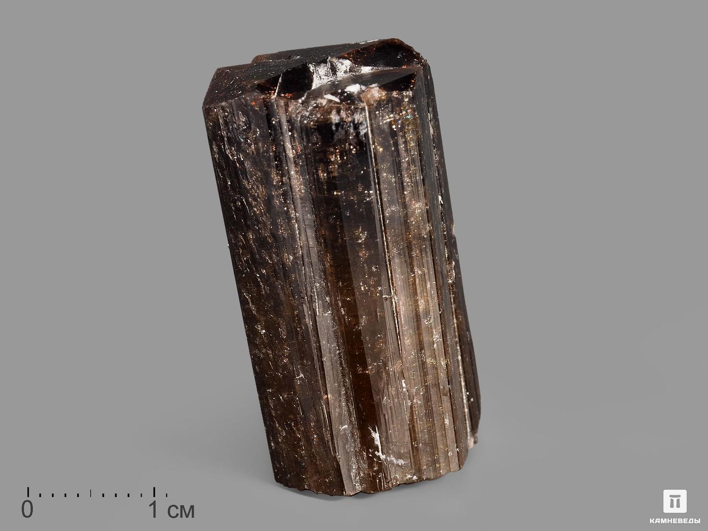Турмалин полихромный, кристалл 3,4х1,8х1,7 см клеёнка кристалл 137см рисунок алмаз рулон 20 п м