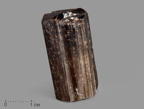 Турмалин полихромный, кристалл 3,4х1,8х1,7 см