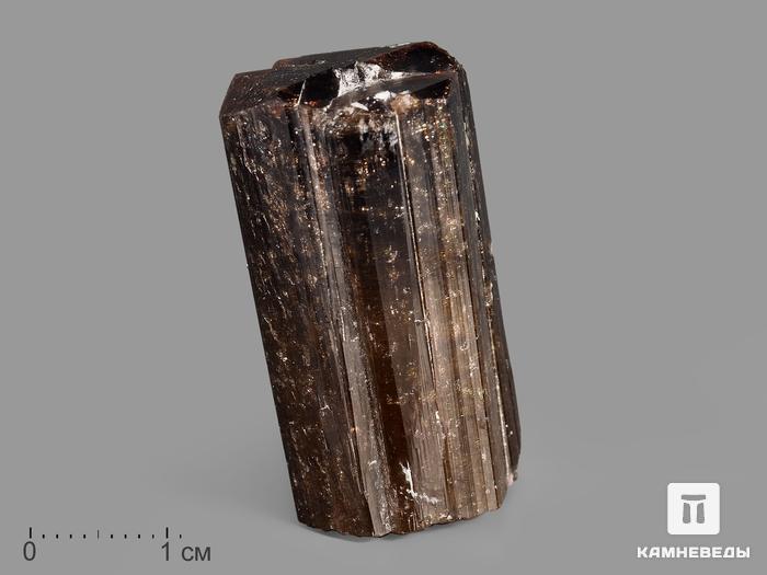 Турмалин полихромный, кристалл 3,4х1,8х1,7 см, 19953, фото 1