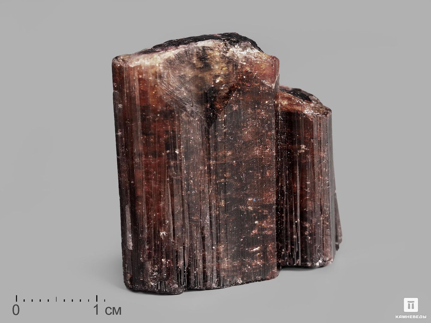 Турмалин (рубеллит), кристалл 3,2х3х1,7 см шерл чёрный турмалин кристалл 25х8 5х7 5 см