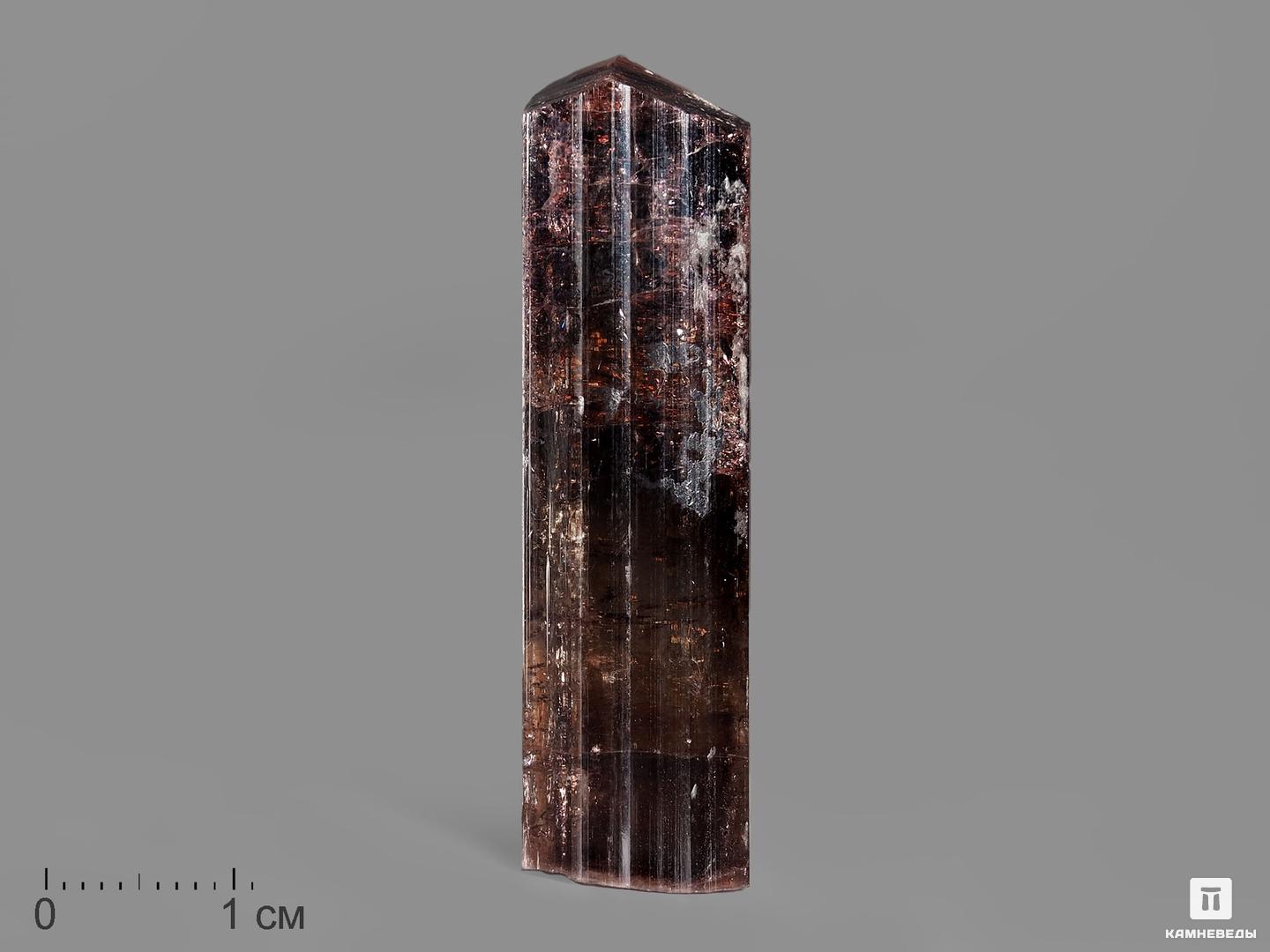 Турмалин (рубеллит), кристалл 4,1х1,1х1 см, 19981, фото 1