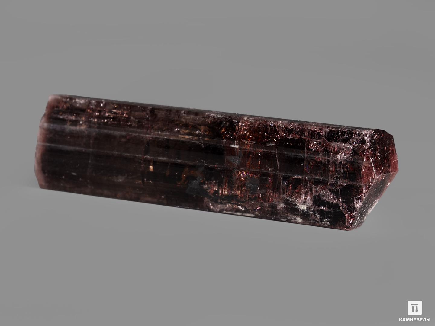 Турмалин (рубеллит), кристалл 4,1х1,1х1 см, 19981, фото 2