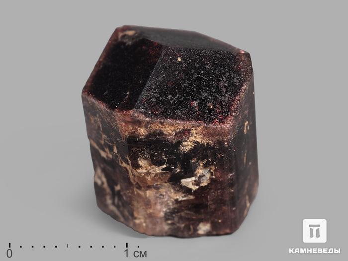 Турмалин (рубеллит), кристалл 1,7х1,4х1,3 см, 19982, фото 1
