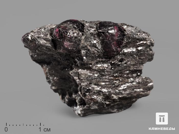 Гранат (альмандин), кристаллы в метаморфическом сланце 4х3,4х2 см, 19936, фото 1