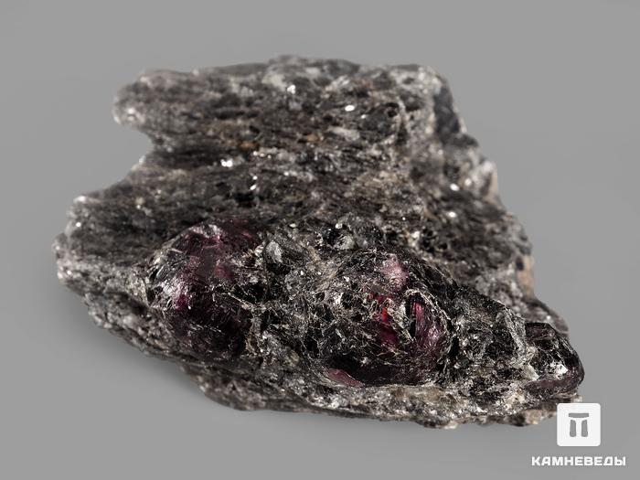 Гранат (альмандин), кристаллы в метаморфическом сланце 4х3,4х2 см, 19936, фото 2