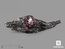 Гранат (альмандин), кристалл в метаморфическом сланце 6,7х2,2х1,6 см