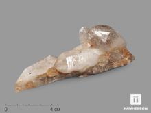 Анатаз, кристаллы на кварце 11,6х4,2х3,8 см