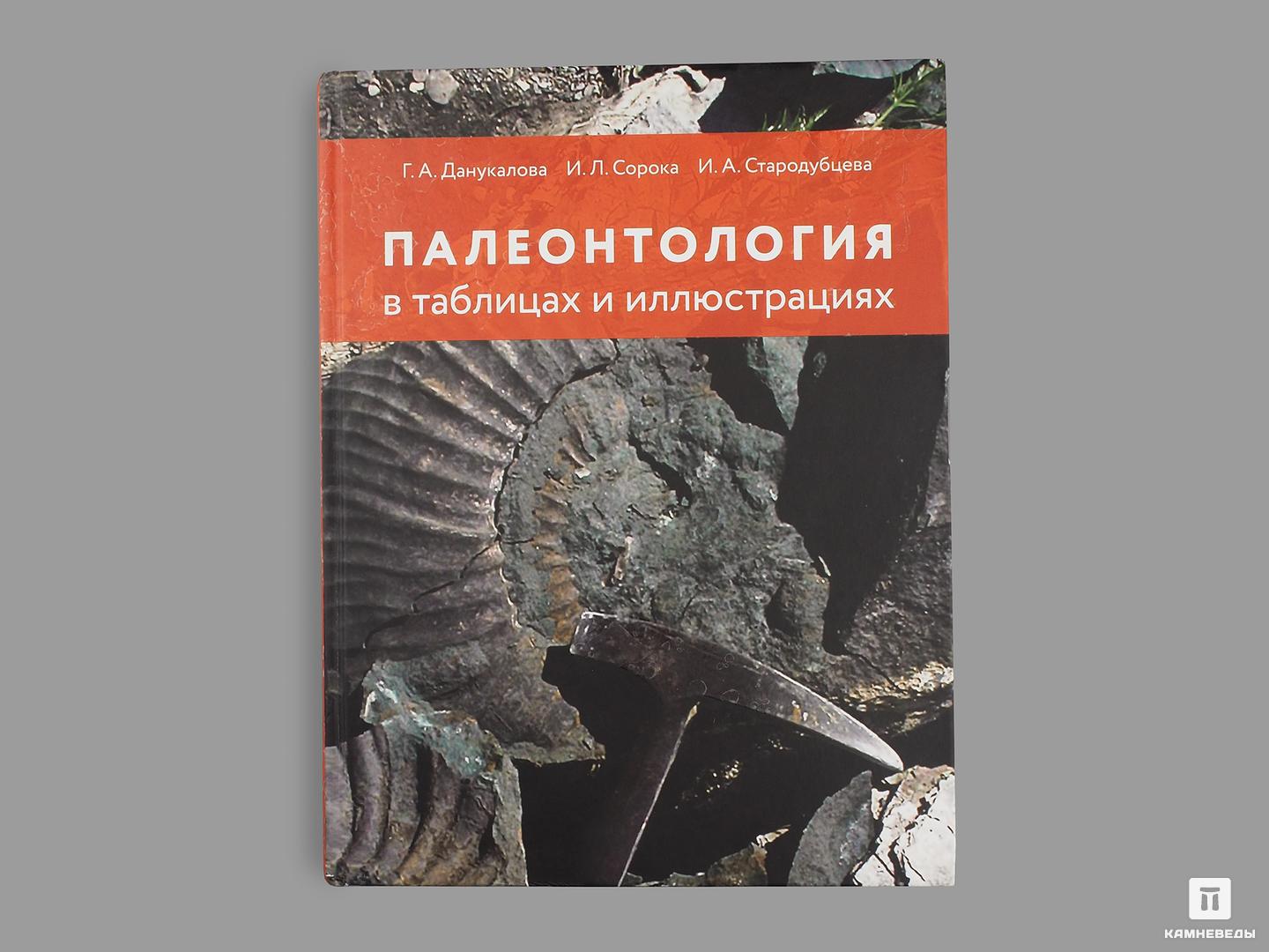 

Книга: Данукалова Г.А., Сорока И.Л., Стародубцева И.А. «Палеонтология в таблицах и иллюстрациях»