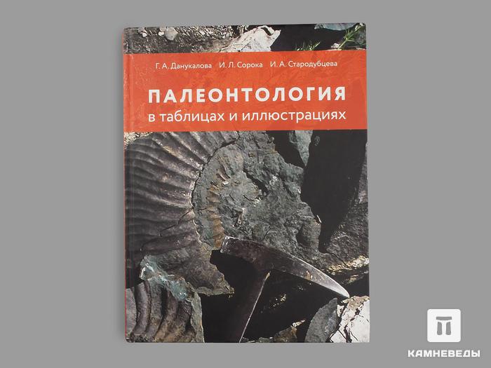 Книга: Данукалова Г.А., Сорока И.Л., Стародубцева И.А. «Палеонтология в таблицах и иллюстрациях», 20117, фото 1