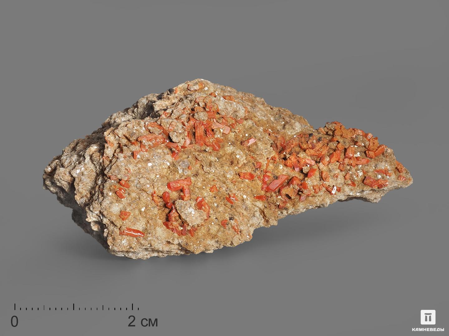 Крокоит, 7,2х3,5 см, 20152, фото 1