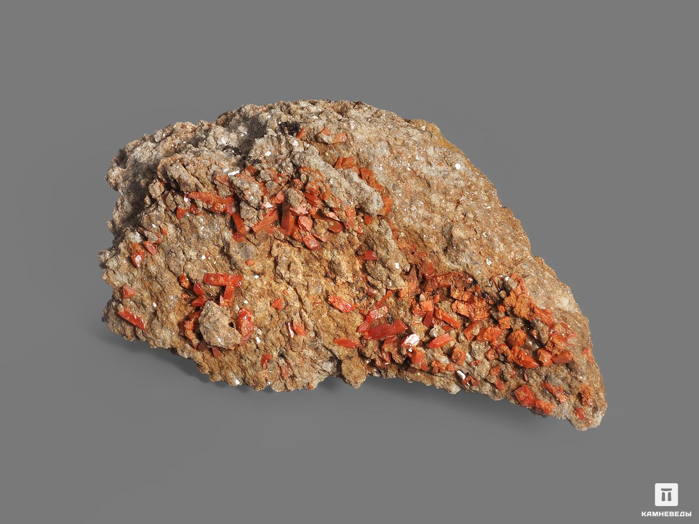 Крокоит, 7,2х3,5 см, 20152, фото 2