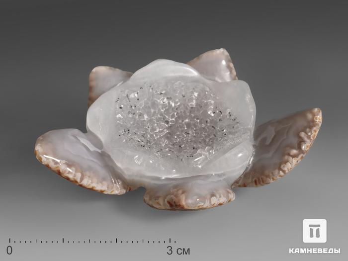 Кувшинка из агата с жеодой, 6,5х4,5х2,5 см, 20535, фото 1