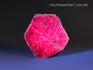 Корунд, красный кристалл 6-6,5 см, 20553, фото 4