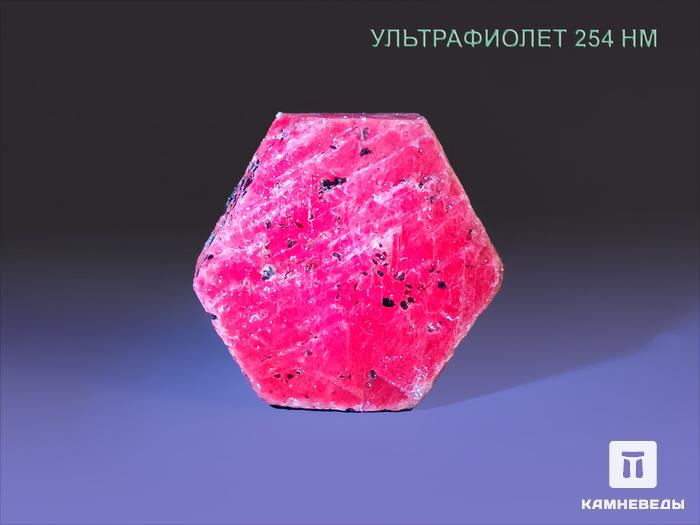 Корунд, красный кристалл 4,5-5 см, 20551, фото 4