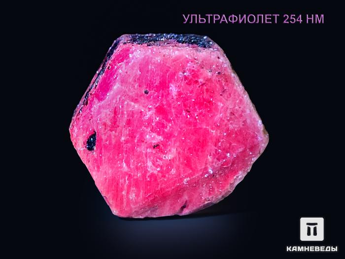 Корунд, красный кристалл 4-4,5 см, 10-115/7, фото 3