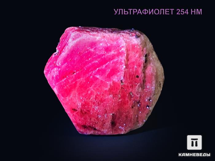Корунд, красный кристалл 3,5-4 см, 20550, фото 2