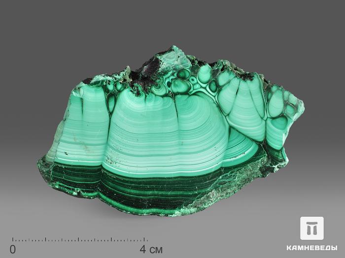 Малахит, полированный срез 8,5х5х1,2 см, 20494, фото 1
