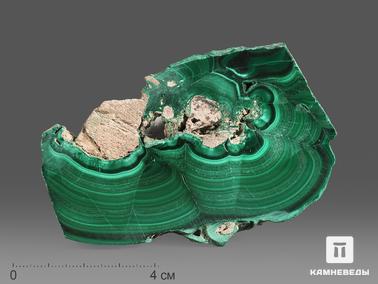 Малахит. Малахит, полированный срез 8,2х5,3х0,8 см