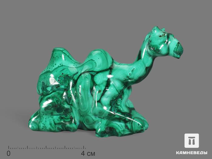 Верблюд из малахита, 9,5х6,2х3,7 см, 20592, фото 1